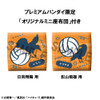 PREORDINE+ CHIUSO 12/2024 Haikyu!! Look Up Figures Hinata Uniform Ver. & Tobio Kageyama Uniform Ver. 11 cm (with gift)