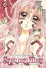 Sakura Hime: The Legend of Princess Sakura Graphic Novel 10