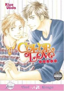 Color of Love Graphic Novel