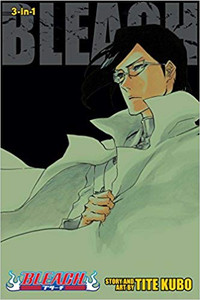 Bleach Graphic Novel Omnibus Vol. 24