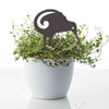 BAMA301 Kiwi Corten Steel Pot Plant Art