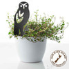 BAMA304 Morepork Corten Steel Pot Plant Art