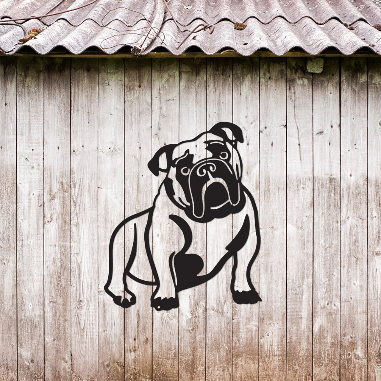 Cats and Dogs