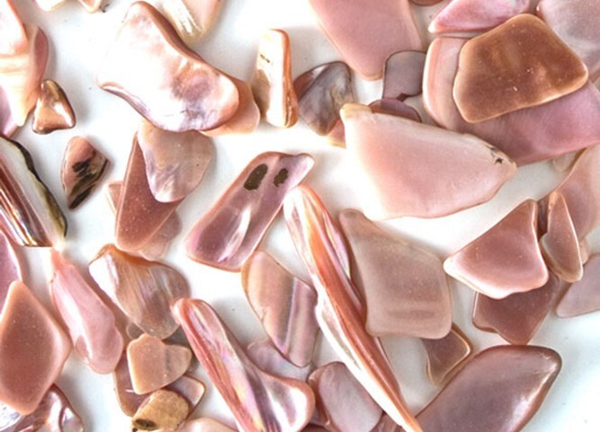 Pink Mussel Pieces