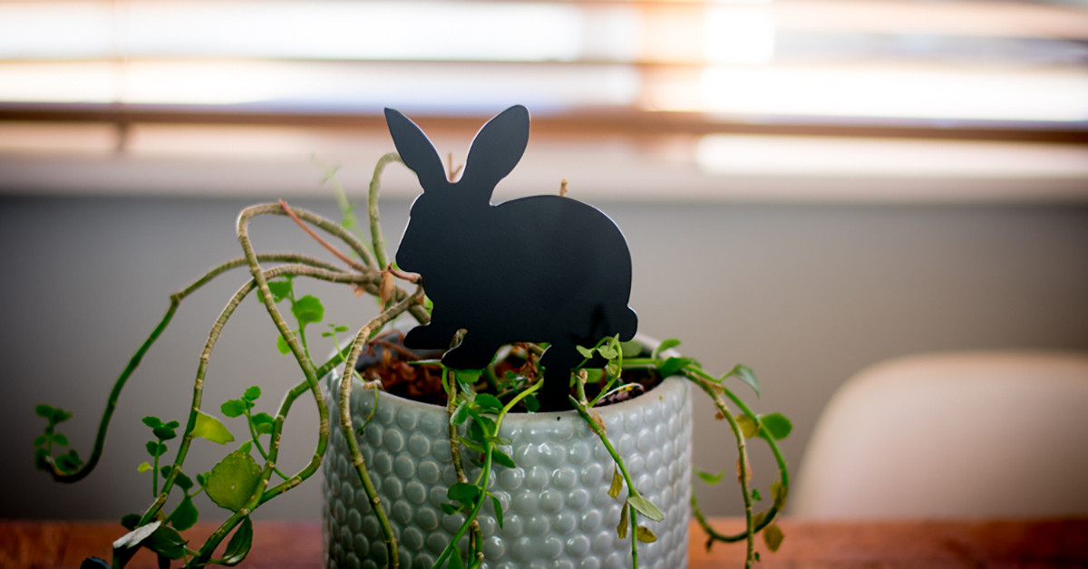 Pot Plant Art