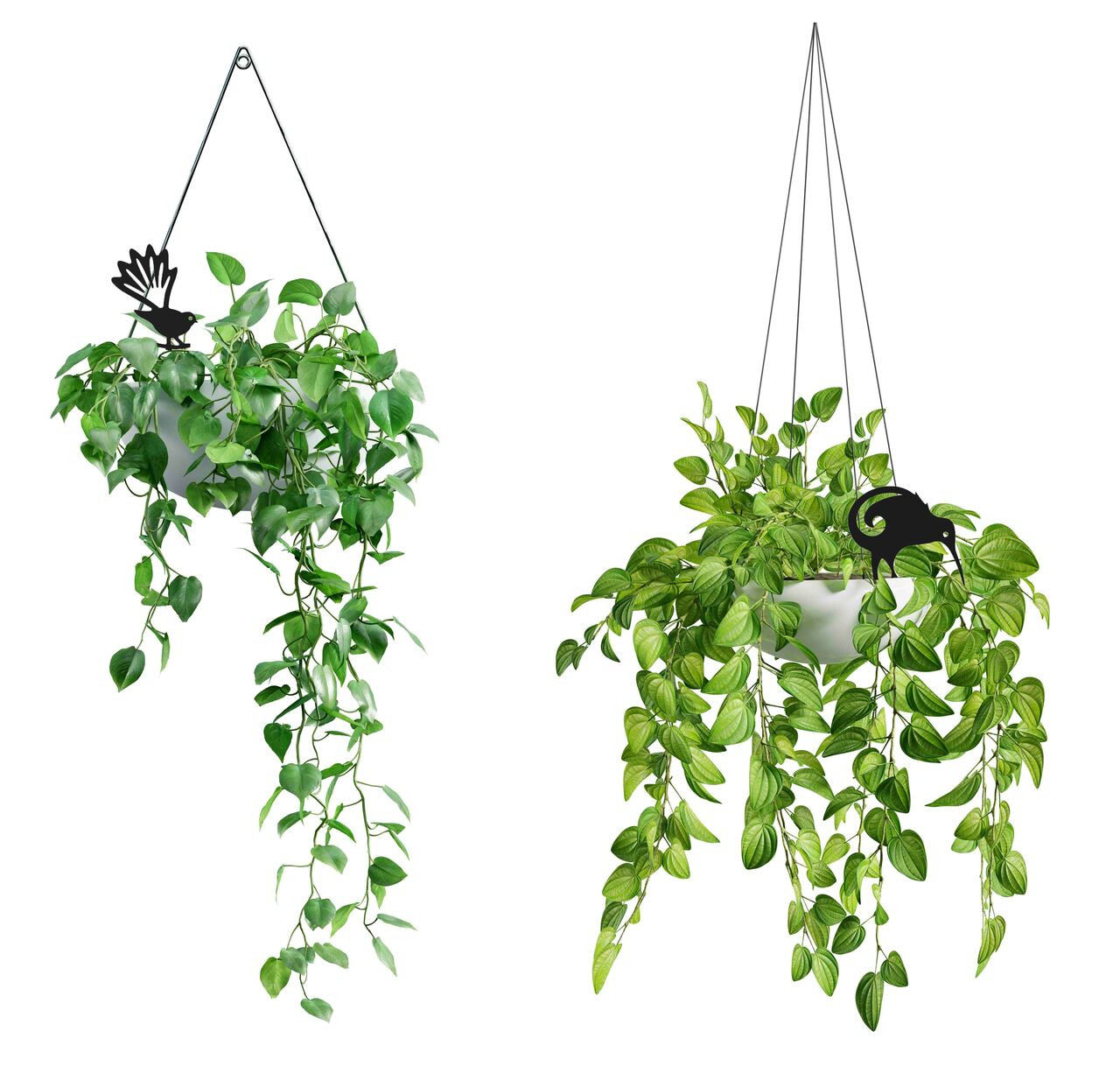 BAMA301 Kiwi Corten Steel Pot Plant Art