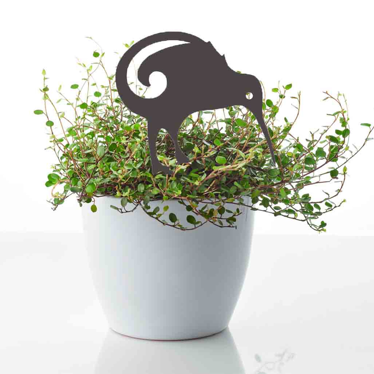 BAMA301 Kiwi Corten Steel Pot Plant Art