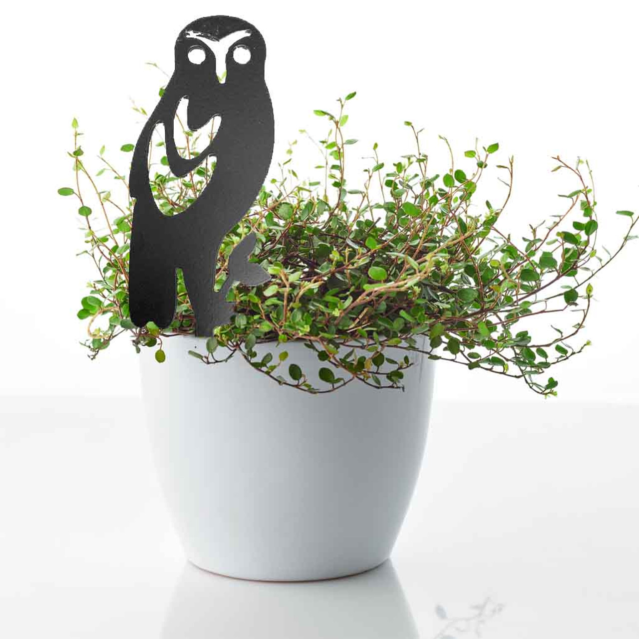BAMA304 Morepork Corten Steel Pot Plant Art