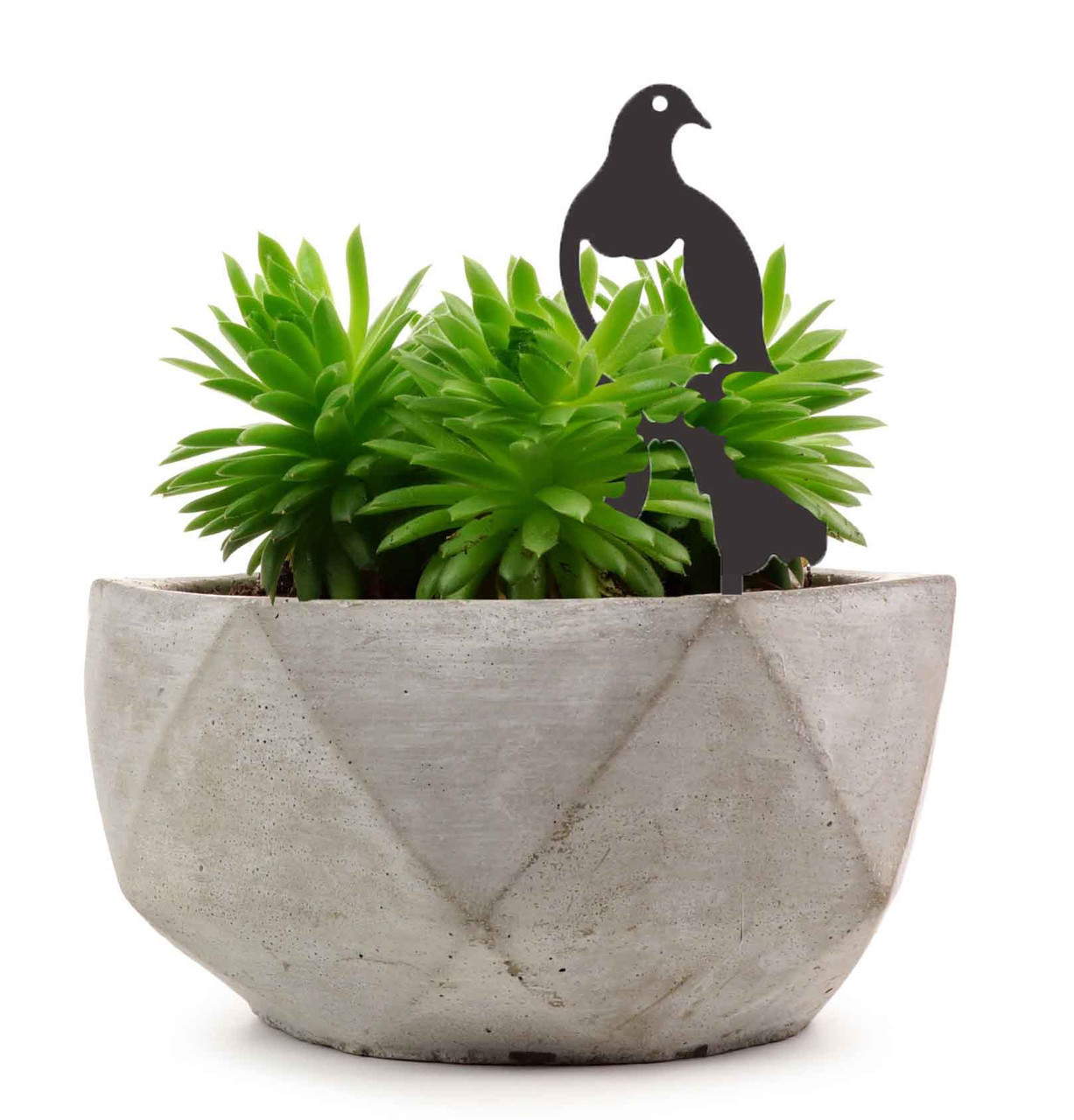 BAMD305 Kereru Steel Pot Plant Art Black