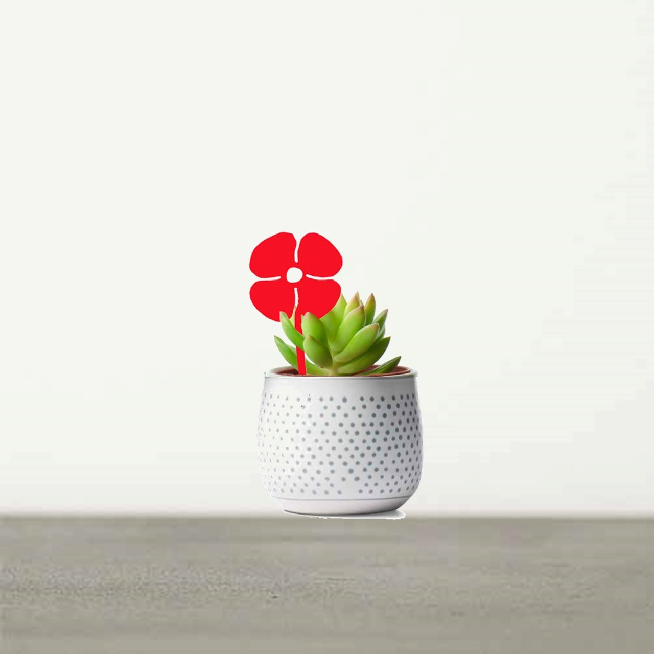 BCMD412 - Pot Plant Tiny Poppy- Red