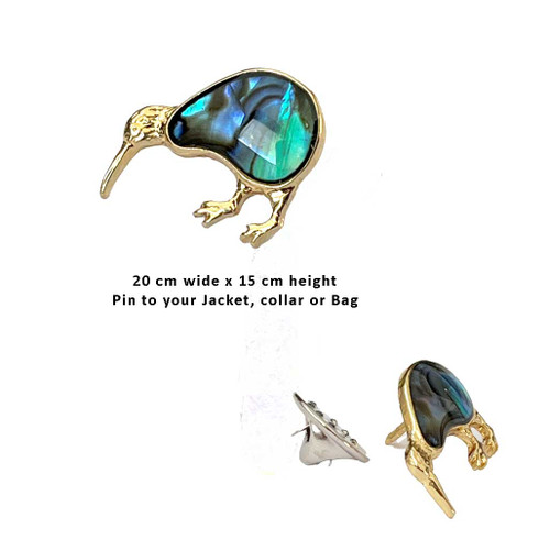 Kiwi Pāua & Gold Pin