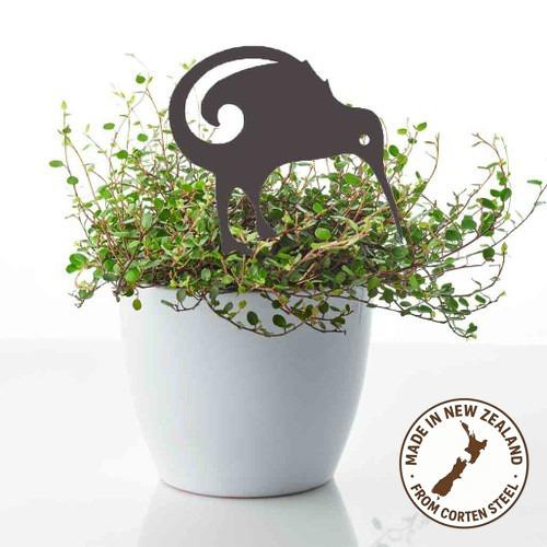 Mini Kiwi Pot Plant Art