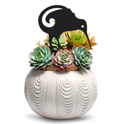 Mini Kiwi Pot Plant Art