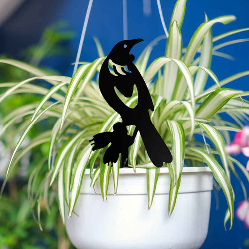 Mini Tūī Pot Plant Art
