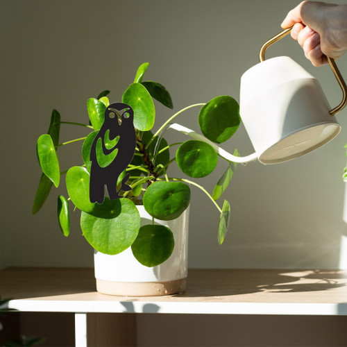 Mini Morepork Pot Plant Art
