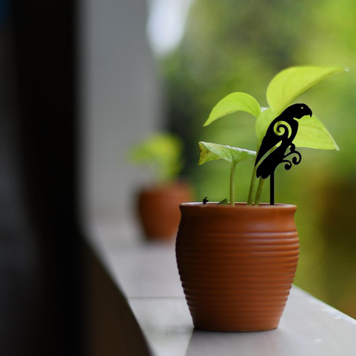 Mini Kākā Pot Plant Art