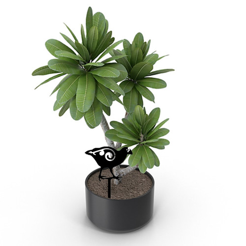 Mini Takahē Pot Plant Art