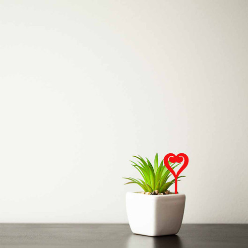 Tiny Heart Pot Plant Decoration - Red Steel
