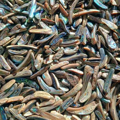Jewellery Grade Polished Pāua Shell Pieces – 1kg