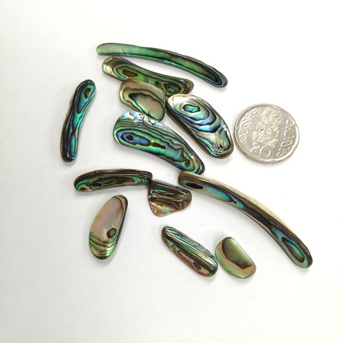 Jewellery Grade Polished Pāua Shell Pieces – 1kg