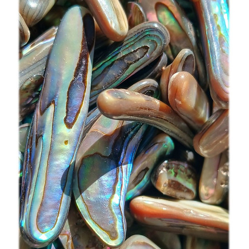 Jewellery Grade Polished Pāua Shell Pieces – 250g