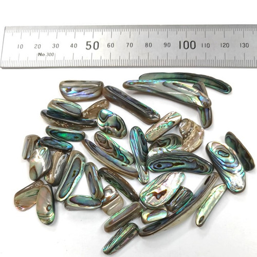 BASH109c Paua Shell pcs Jewellery Highly Polished - 500gms