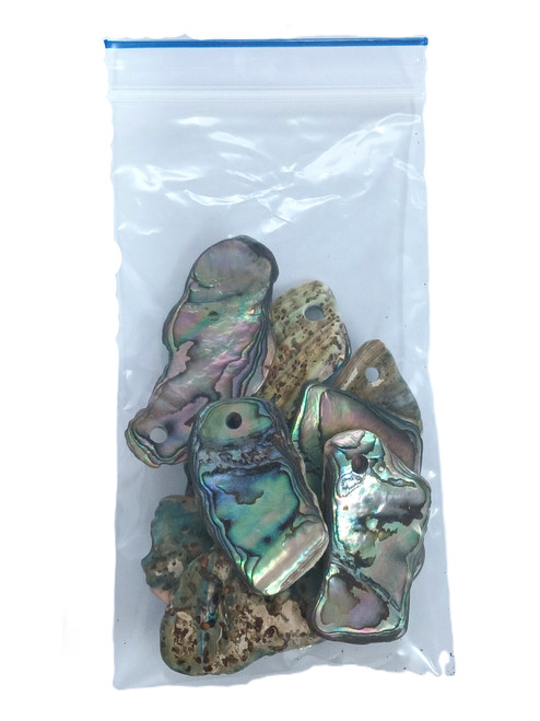 Highly Polished Pāua Shell Pieces with 3mm Holes – Pack of 10