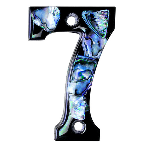 Paua Shell Number 7