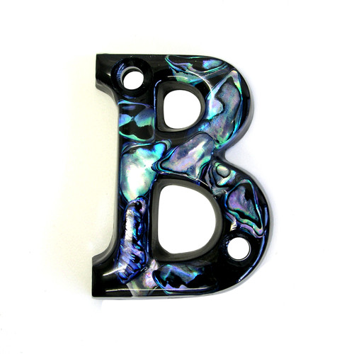 Paua Shell Number B