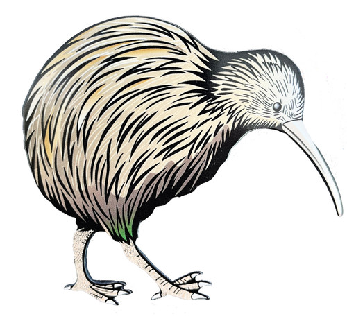 Kiwi - Coloured Collection| NZ Made