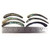 Paua Tusks