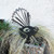 Fantail