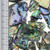 Garden Grade Polished Paua Pieces varying in size.