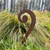 Aged Corten Steel