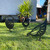 BAMA203 Chook 3 Corten Steel Garden Art