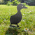 Duckling 1 Garden Art – Corten Steel