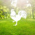 Rooster Garden Art – White Steel