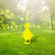 Duckling 2 Garden Art – Yellow Steel