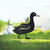 Mother Duck Garden Art – Black Steel