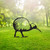 Small Kiwi Garden Art – Black Steel
