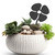 Mini Poppy Pot Plant Art – Corten Steel