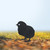 Chick 2 Garden Art – Black Steel