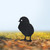 Chick 3 Garden Art – Black Steel