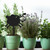 Mini Sheep Garden Art – Black Steel