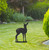 Large Standing Fawn Garden Art – Corten Steel