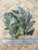 Greenstone polished random pcs  - 500gms