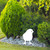 Little Chick 1 Garden Art – White Steel