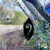 Koru Shield Metal Wall Art – Black Steel