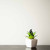 Tiny Tui Pot Plant Decoration - Black Steel