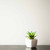 Tiny Takahe Pot Plant Decoration - Black Steel